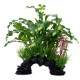 Ornement Aponogeton crispé Fluval  Plantes artificielles