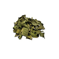 Gateries de feuilles sechees Botanicals Living World Green, LIVING WORLD Treats